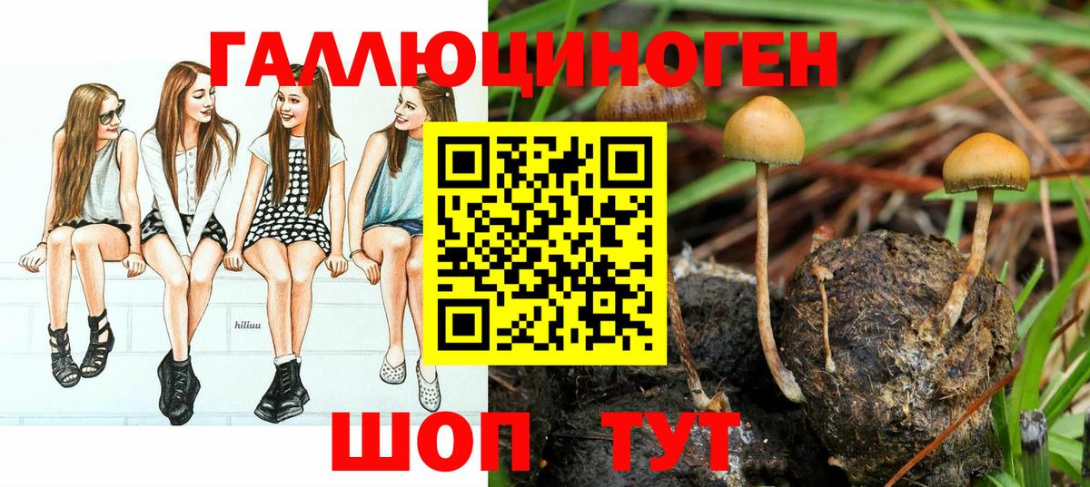 Галлюциногенные грибы Psilocybine cubensis  Вход с VPN  где можно купить наркотик  Норильск 